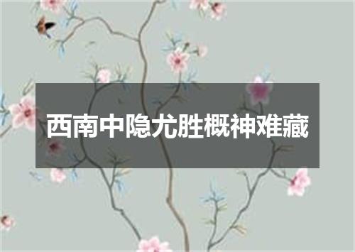 西南中隐尤胜概神难藏