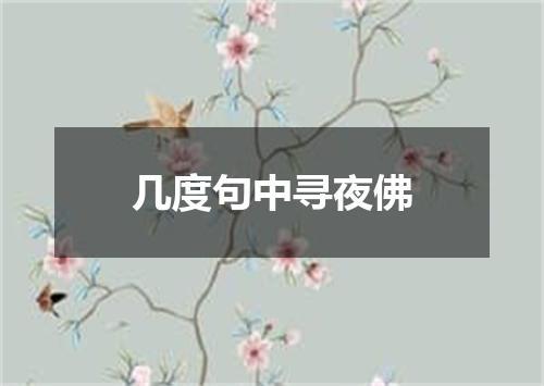 几度句中寻夜佛