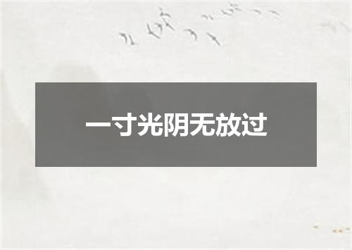一寸光阴无放过