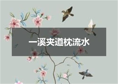 一溪夹道枕流水