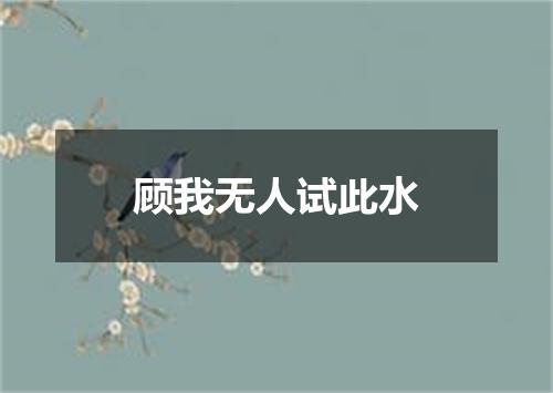 顾我无人试此水