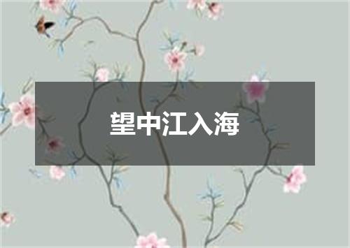望中江入海