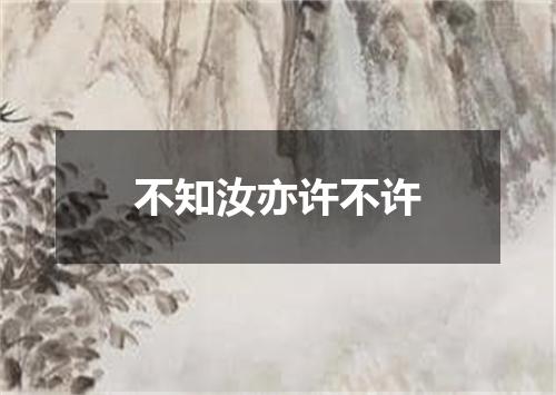 不知汝亦许不许