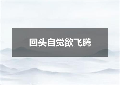 回头自觉欲飞腾