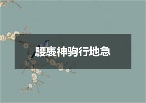 騕褭神驹行地急
