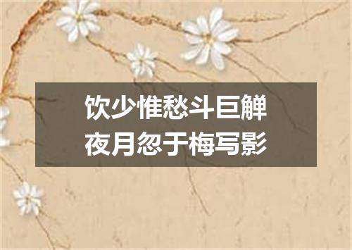 饮少惟愁斗巨觯夜月忽于梅写影