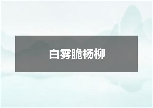白雾脆杨柳
