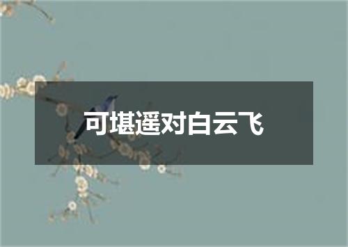 可堪遥对白云飞