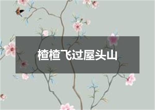 楂楂飞过屋头山