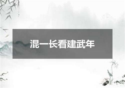 混一长看建武年