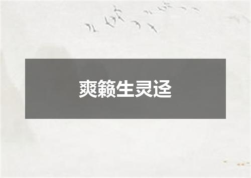 爽籁生灵迳