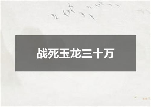 战死玉龙三十万