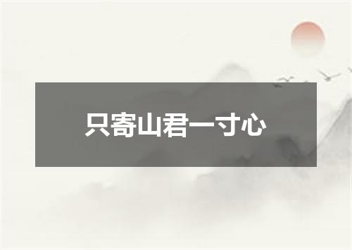 只寄山君一寸心