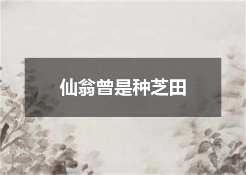 仙翁曾是种芝田