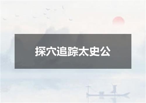 探穴追踪太史公