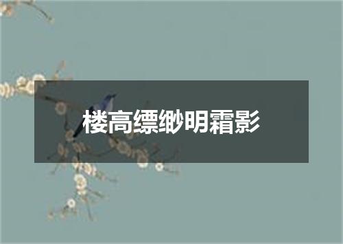 楼高缥缈明霜影