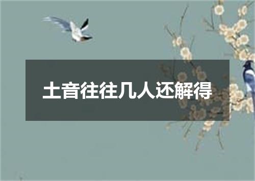 土音往往几人还解得