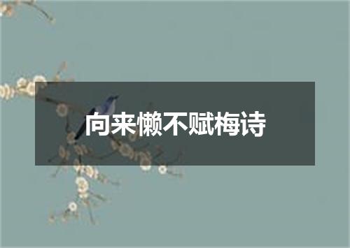 向来懒不赋梅诗