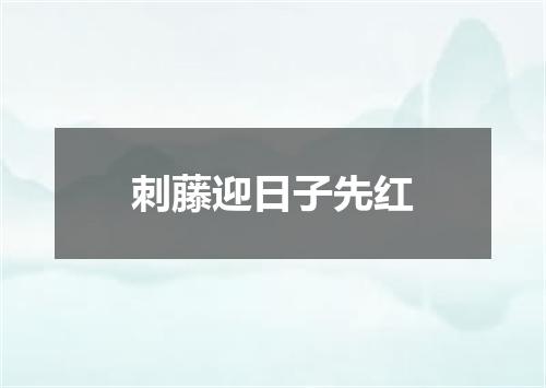 刺藤迎日子先红
