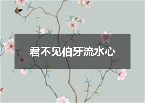 君不见伯牙流水心