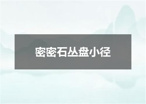 密密石丛盘小径