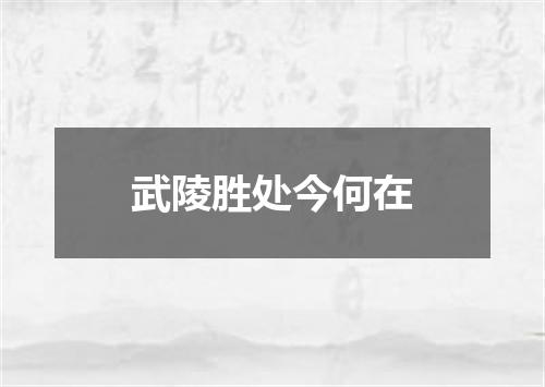 武陵胜处今何在