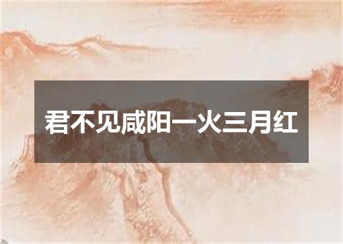 君不见咸阳一火三月红