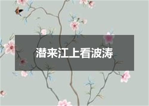 潜来江上看波涛