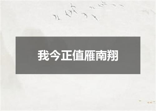 我今正值雁南翔