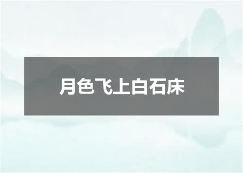 月色飞上白石床