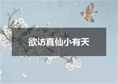 欲访真仙小有天