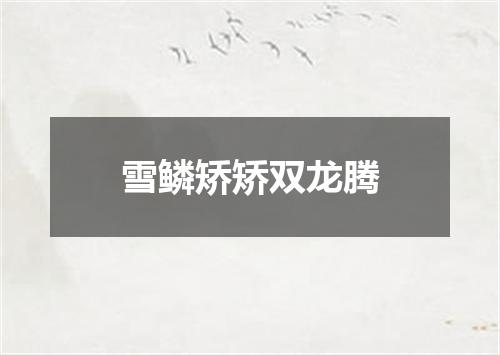 雪鳞矫矫双龙腾