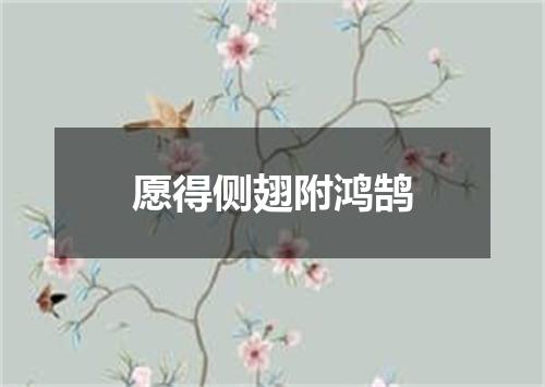 愿得侧翅附鸿鹄