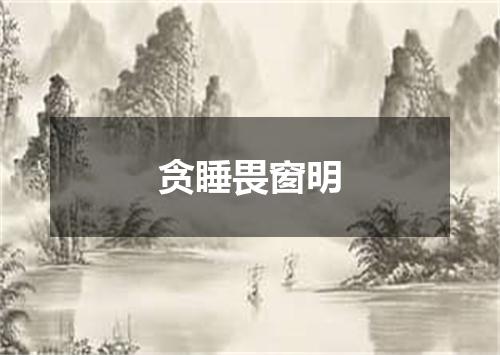 贪睡畏窗明