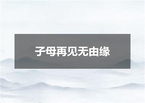 子母再见无由缘
