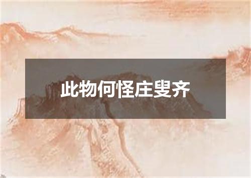 此物何怪庄叟齐