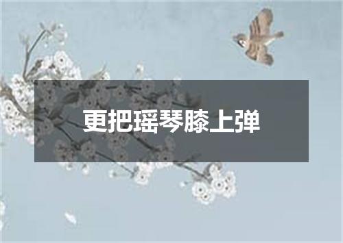 更把瑶琴膝上弹