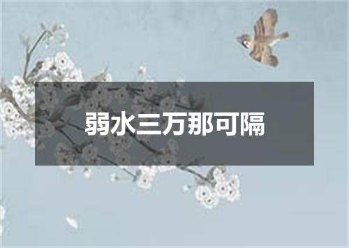 弱水三万那可隔