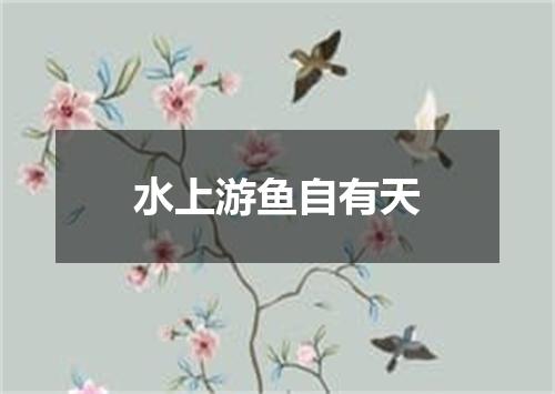 水上游鱼自有天