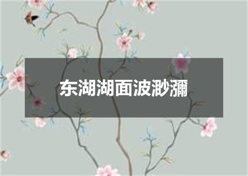 东湖湖面波渺瀰