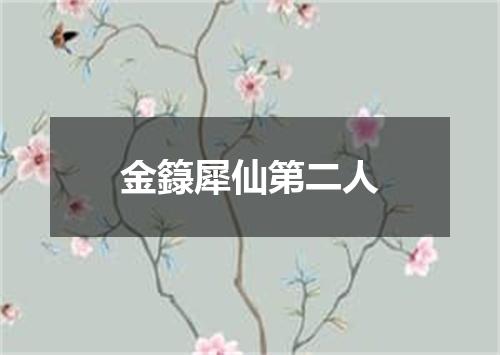 金籙犀仙第二人