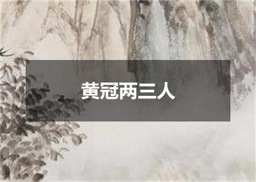 黄冠两三人