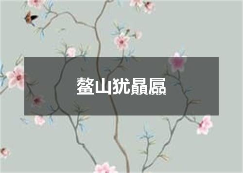 鳌山犹贔屭