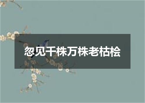 忽见千株万株老枯桧