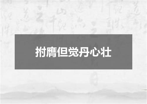 拊膺但觉丹心壮