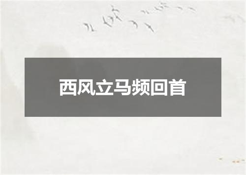 西风立马频回首