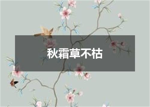 秋霜草不枯