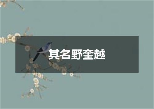 其名野奎越