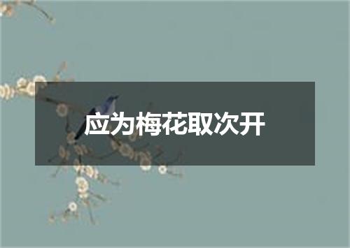 应为梅花取次开