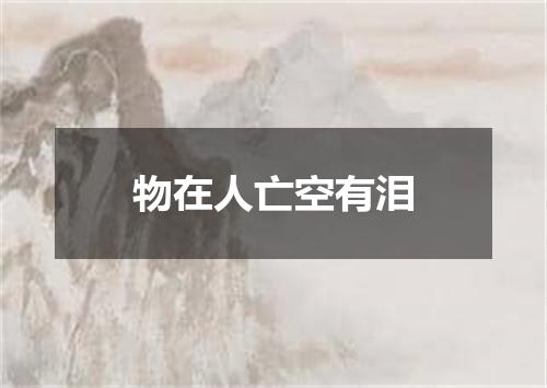 物在人亡空有泪